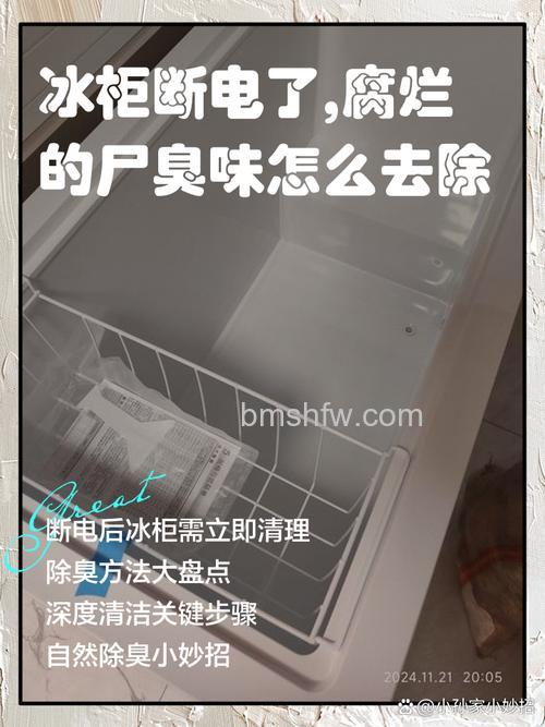 冰柜如何去异味?实用除味方法变身环保小卫士