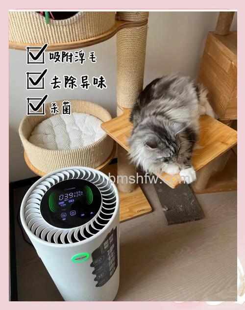 艾吉森空气净化器怎么样?特点与质量详解