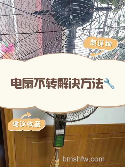 电风扇插上电源没反应?原因与解决方案详解