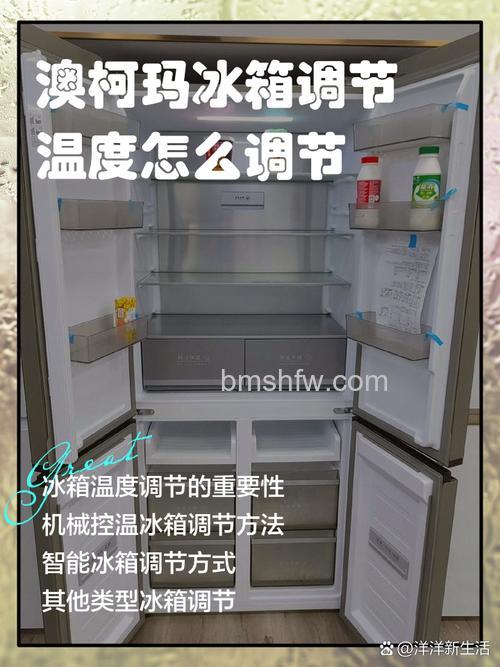 澳柯玛冰箱冷冻室温度是多少？合适范围与设置详解