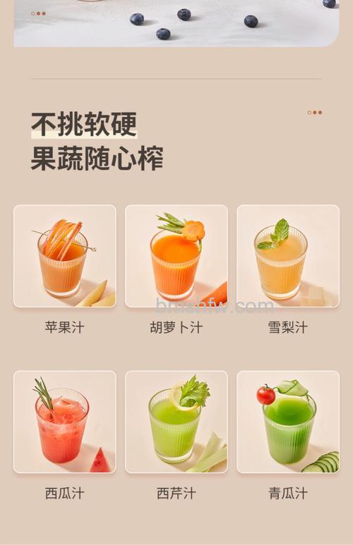 九阳便携榨汁机食谱与功能介绍【详解】