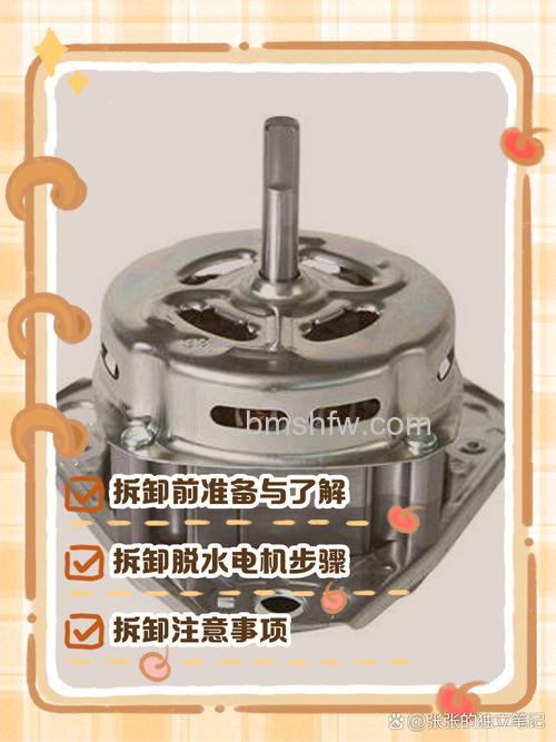 双缸洗衣机是否只有一个电机?电机数量详解