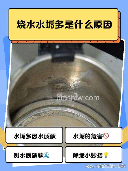 烧水壶里的水垢到底是何物?形成原因、危害与清除方法全解析