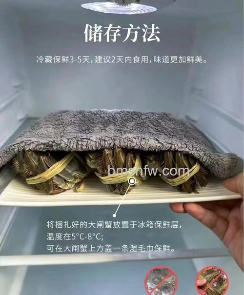 大闸蟹如何保存:冰箱冷藏还是冷冻?详解温度与时间选择