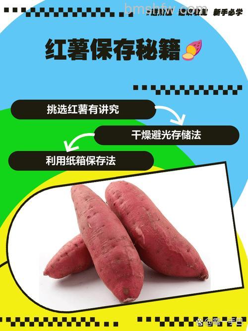 红薯能放冰箱冷冻吗?如何正确保存红薯【详解】