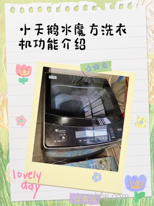 小天鹅洗衣机的水魔方有什么功能？小天鹅洗衣机的水魔方功能解析