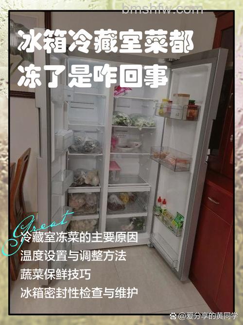 冰箱里菜冻坏了还能吃吗?原因分析与安全食用指南【详解】