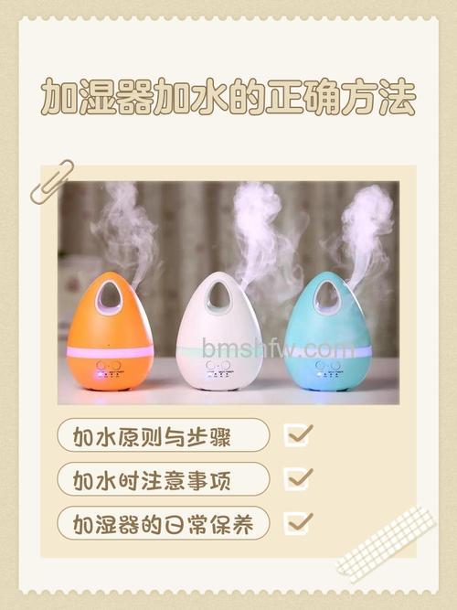 加湿器加什么水好?加醋的危害与正确加水方式详解