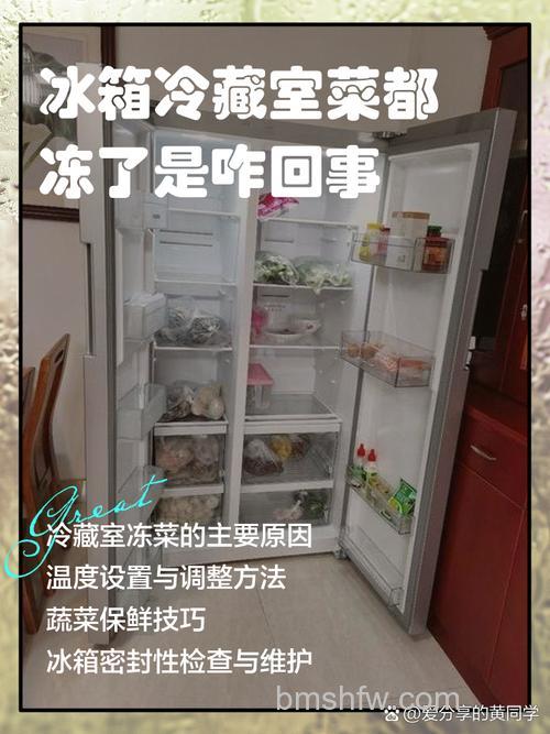 冰箱冷藏室的菜冻了是什么原因?原因分析及解决方法详解