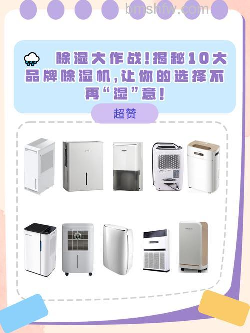 除湿机品牌有哪些?三大热门除湿机品牌推荐【详解】
