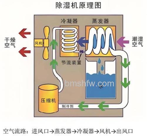 除湿机原理是什么?不同类型除湿机工作原理【详解】
