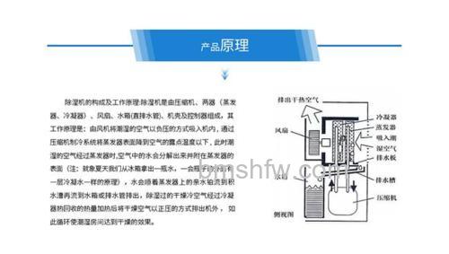 湿腾除湿机优缺点详解:减少细菌、保护家具与潜在不足