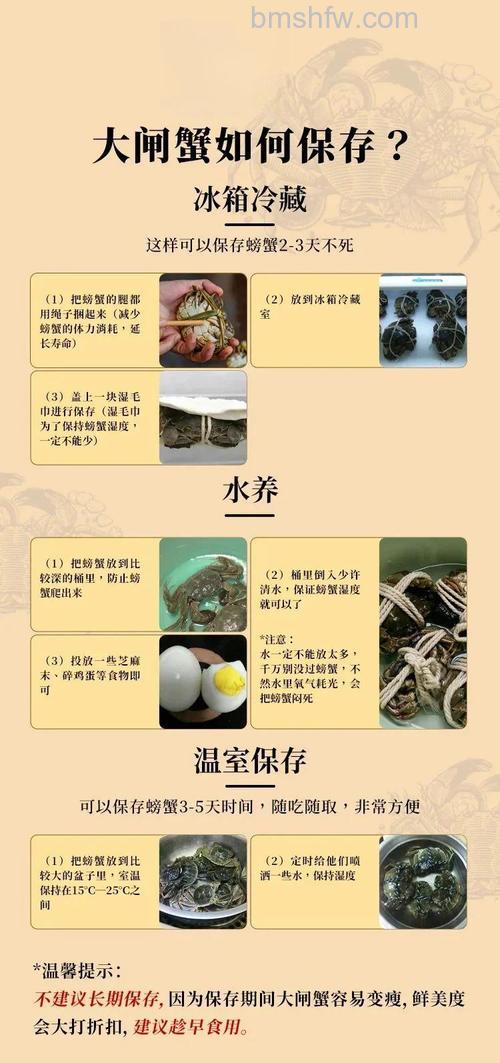 如何将螃蟹放入冰箱冷藏保存【详解】