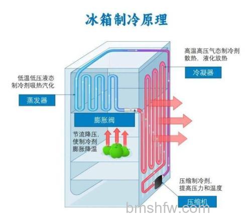 冰箱门有没有磁力?冰箱门的工作原理【详解】