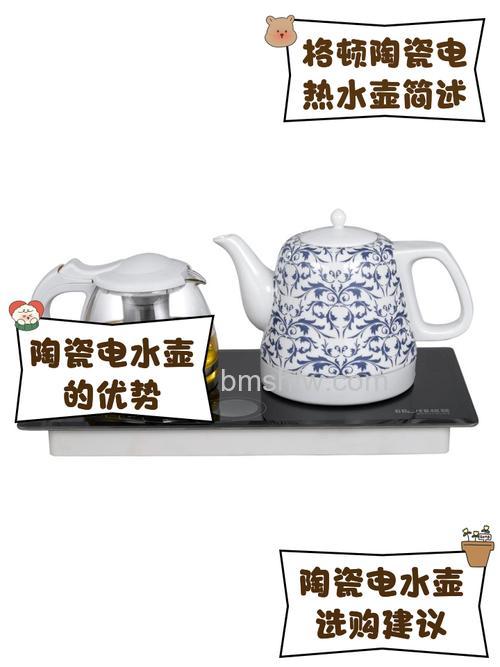 陶瓷电热水壶的优缺点及选购指南