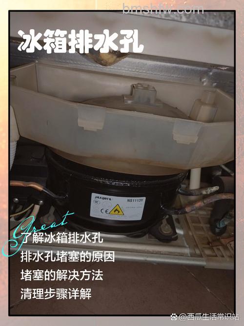 冰箱排水孔怎么清洗?排水孔的清洗与维护详解