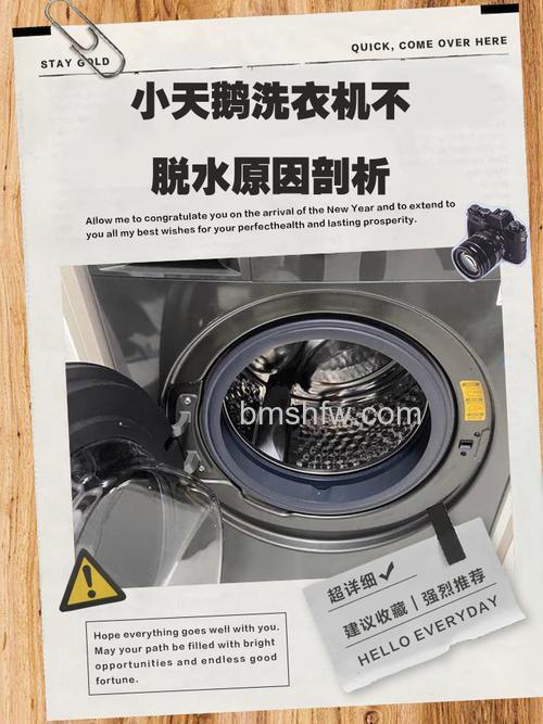 小天鹅半自动洗衣机脱水不起来原因与解决方法详解
