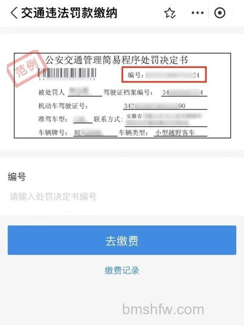 支付宝怎么缴违章罚款 支付宝缴违章罚款方法 【步骤介绍】