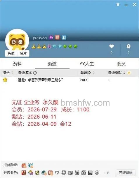 网页YY最多可以开几个号?详解5账号限制与平台功能