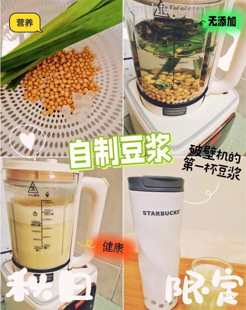 普通榨汁机怎么做豆浆?制作方法【详解】