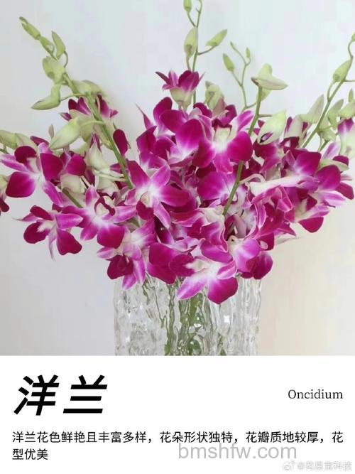 歪歪的鲜花是什么：YY语音平台上的互动道具