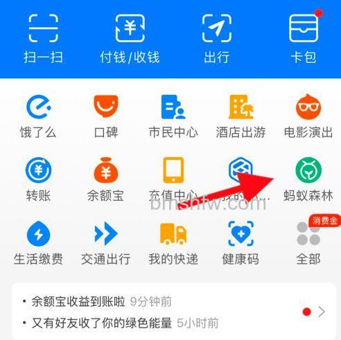 支付宝蚂蚁森林中立冬节气装扮怎么领取【领取方法】