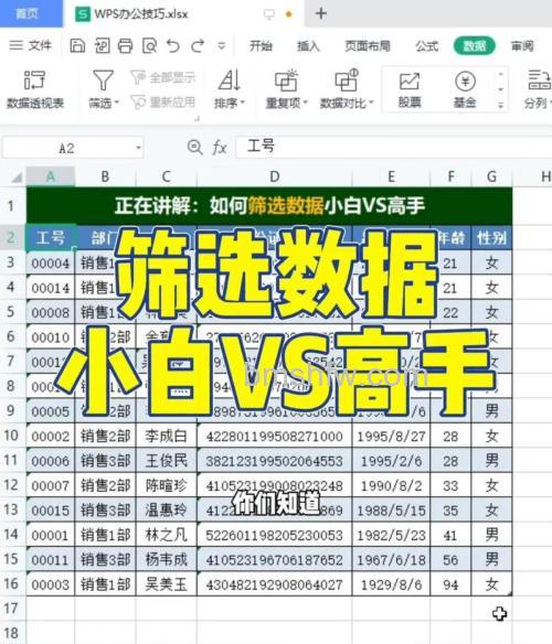 Excel条件格式：快速筛选出值最小的10项