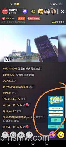 歪歪【杀人夜】游戏中的投票方法与YY语音简介