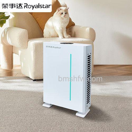 荣事达室内空气净化器怎样？全面介绍与适用人群解析