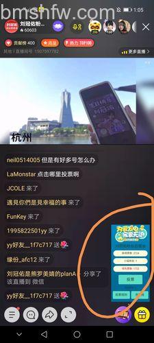 歪歪的投票有几种形式?详解三种投票类型