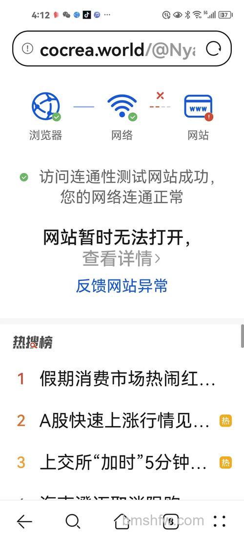 风行无法获取网址怎么办