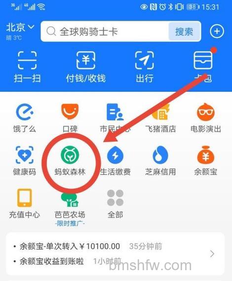 支付宝蚂蚁森林怎么关闭 支付宝蚂蚁森林关闭方法【详细步骤】