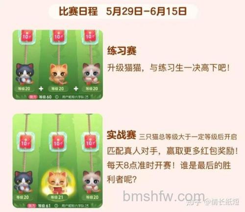 2023喵运会618一个红包多少钱【详解】