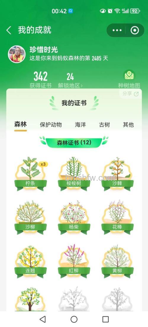 支付宝蚂蚁森林给别人浇水有什么好处【详细介绍】