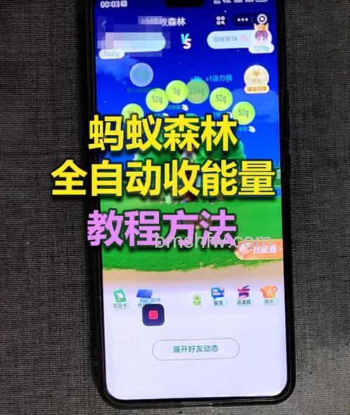 支付宝蚂蚁森林怎么防止好友偷蚂蚁森林能量【详细步骤】