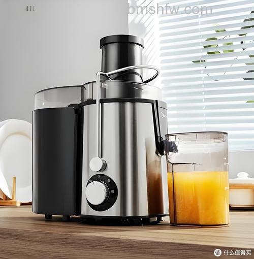 榨汁机哪个品牌好?热门品牌推荐与选择指南