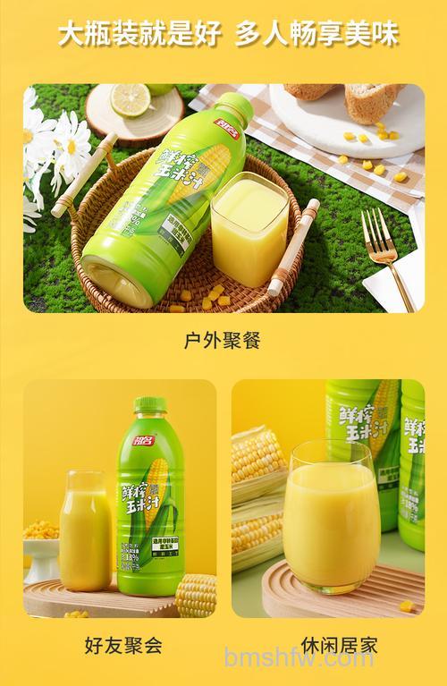 大型玉米榨汁机哪款好?品牌推荐与选购指南