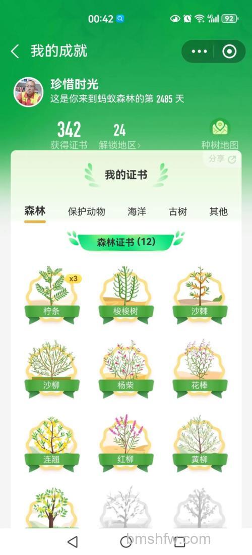 支付宝明星公益林活动如何玩 支付宝明星公益林活动玩法【详解】