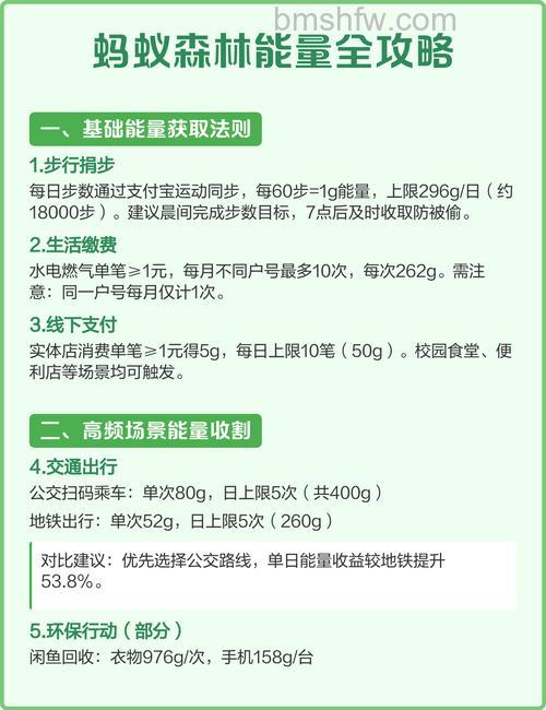 支付宝蚂蚁森林为什么没有能量 蚂蚁森林如何补充能量