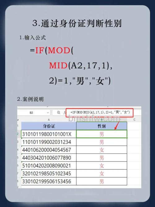WPS表格怎么快速输入性别?三种方法详解