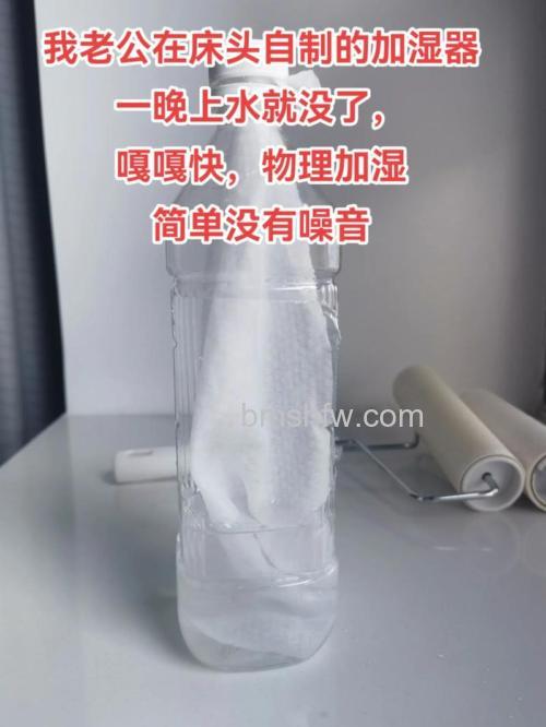 如何自制空气加湿器？多种实用方法大全【省钱又有效】