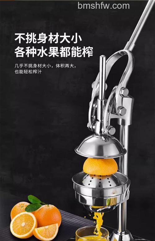 不锈钢水果榨汁机什么品牌好?九阳、飞利浦、美的等品牌推荐【详解】