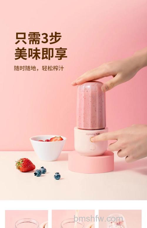 小功率榨汁机哪个牌子好？品牌选择推荐