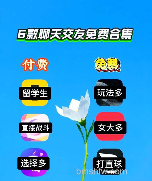 飞信交友:短信版与WAP版使用方式及核心功能解析