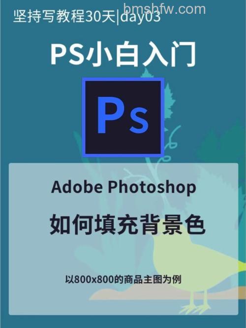 ps怎么快速给插画填充颜色 ps快速给插画填充颜色方法【教程】