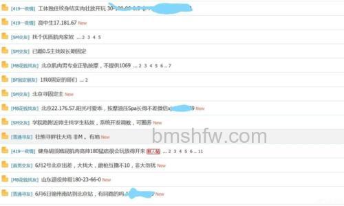 百度搜索伴侣的系统要求是什么