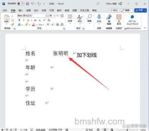 wps文字怎么加横线 wps文字加横线的方法
