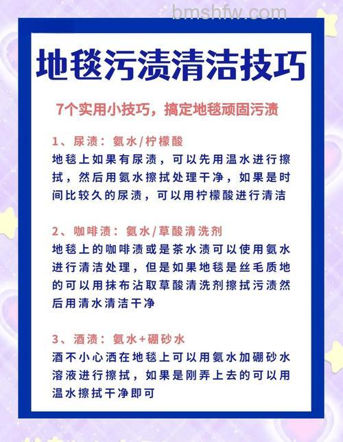 怎么清洁不同地毯污渍？常见污渍清洗方法详解