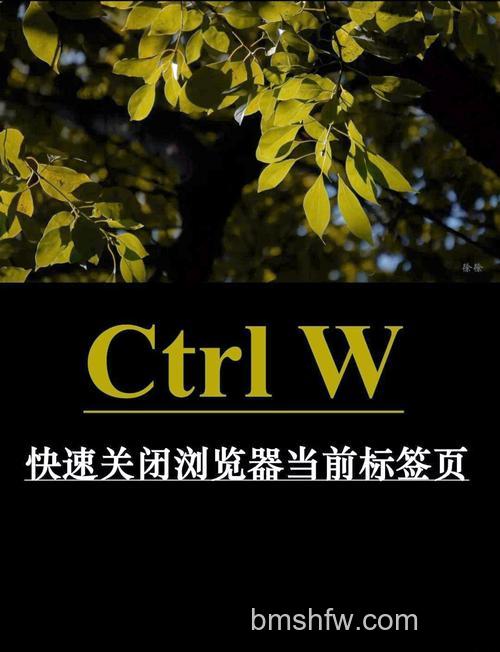 傲游关闭当前标签(窗口)的快捷键是什么