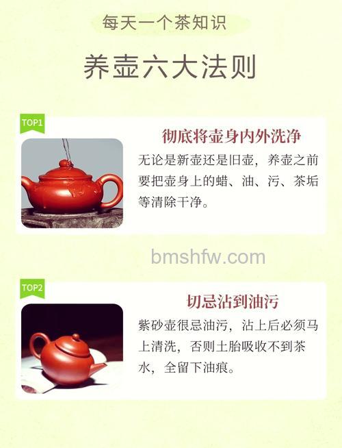 养生壶怎么样?精选养生壶食谱及功效详解